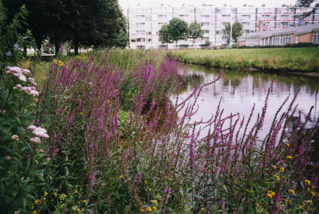 image0013.jpg (105128 bytes)